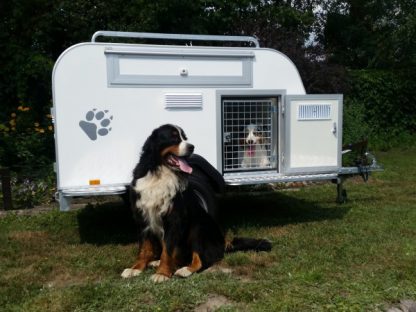 Tom Dog 3s Tomplan przyczepa do przewozu 3 psów DMC 550-750kg z lukiem bagażowym